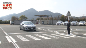 【サムネイル画像】止まっていますか？横断歩道