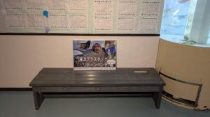 海洋プラスチックリボーンベンチ(なぎさ水族館)