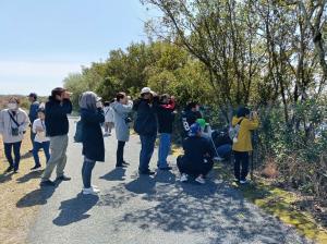 バードウォッチング