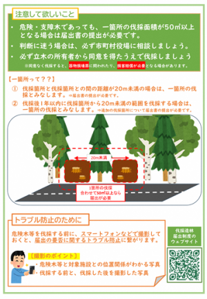 チラシ2