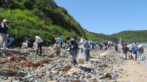 海岸清掃の様子②
