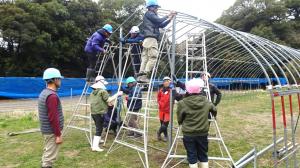 パイプハウス建設の様子