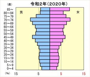 平成27年人口ピラミッド 人口ピラミッド(令和)