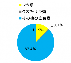 天然林の内訳 天然林