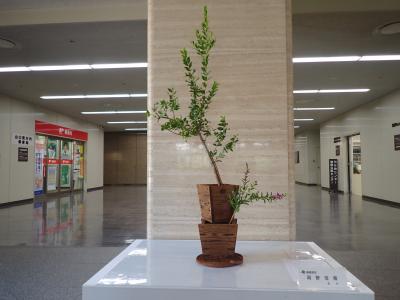 令和8年7月27日