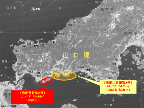 令和8年7月29日赤潮発生状況