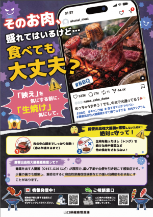 腸管出血性大腸菌感染症予防のポスターの画像