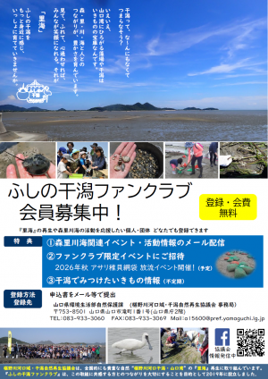 R8_ふしの干潟ファンクラブチラシ