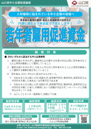 フライヤー