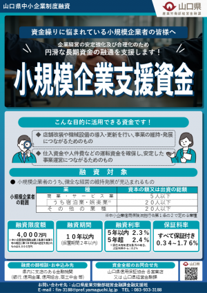 フライヤー