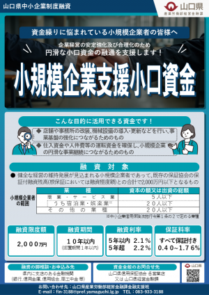 フライヤー