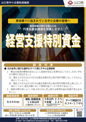 フライヤー