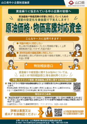 フライヤー