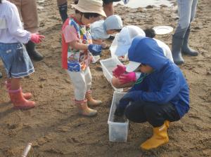 昨年度の様子　生き物観察②