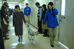 健康福祉部長が盲導犬歩行を体験