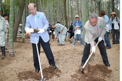 知事も一緒にタケノコ狩り