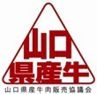  山口県産牛肉販売協議会のロゴ