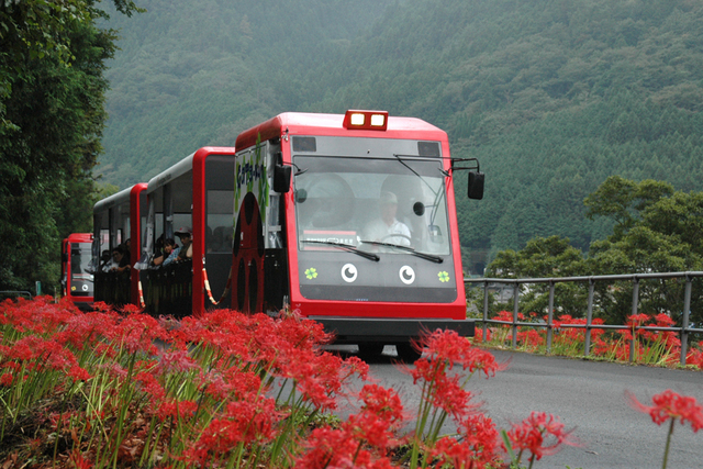 県内のユニークな列車のご案内