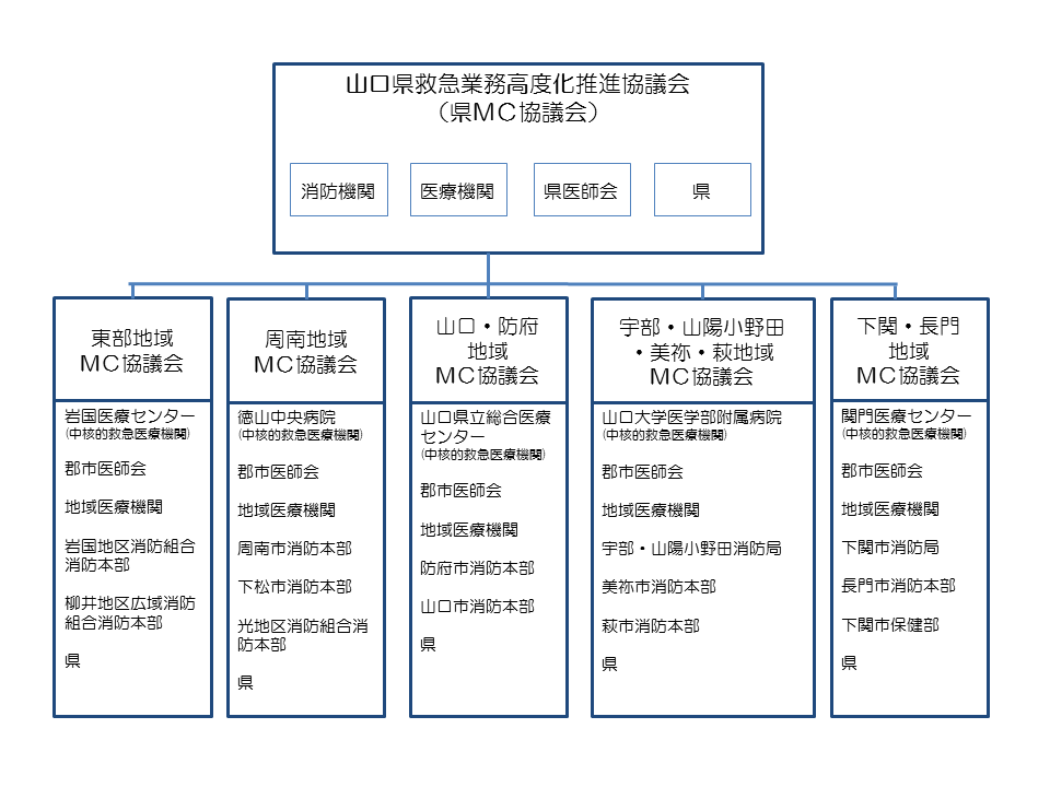 地域メディカルコントロール協議会の画像