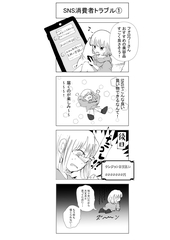 SNS消費者トラブルの画像1