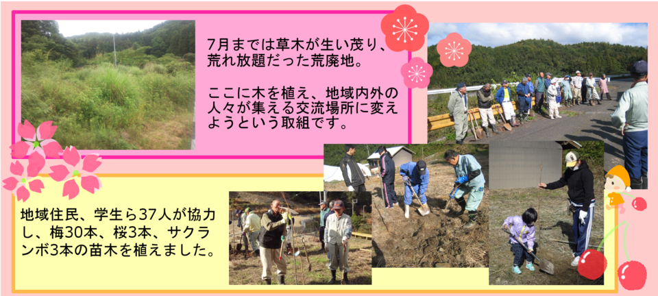 7月までは草木が生い茂り、荒れ放題だった荒廃地。地域住民、学生ら37人が協力し、梅30本、桜3本、サクランボ3本の苗木を植えました。