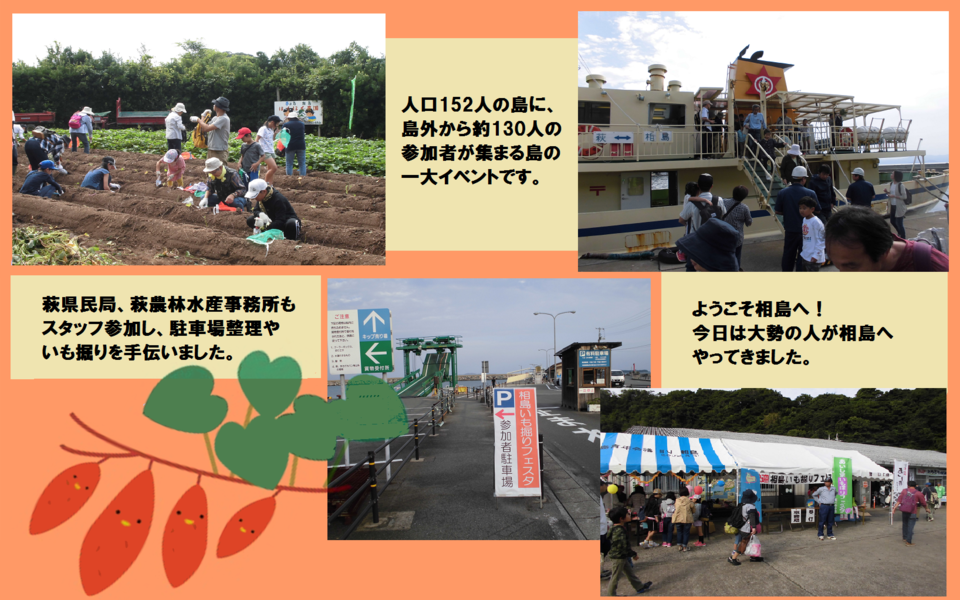人口152人の島に、島外から約130人の参加者が集まる島の一大イベント。萩県民局、萩農林水産事務所もスタッフ参加し、駐車場整理やいも掘りを手伝いました。