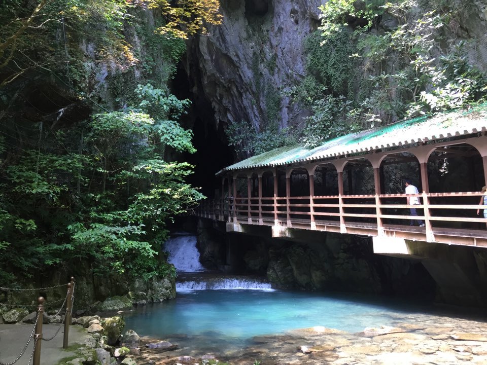 ＜萩城址＞　和田 稔（萩市）の画像