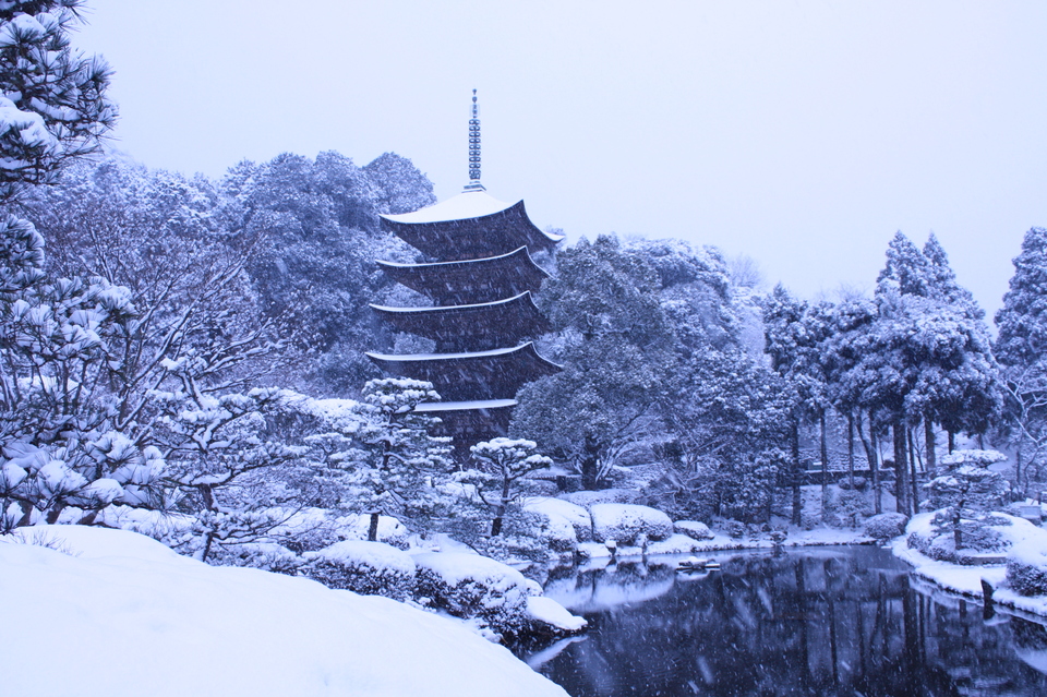＜瑠璃光寺でのある素敵な夏＞イ・ヨンジュ（ソウル特別市）の画像
