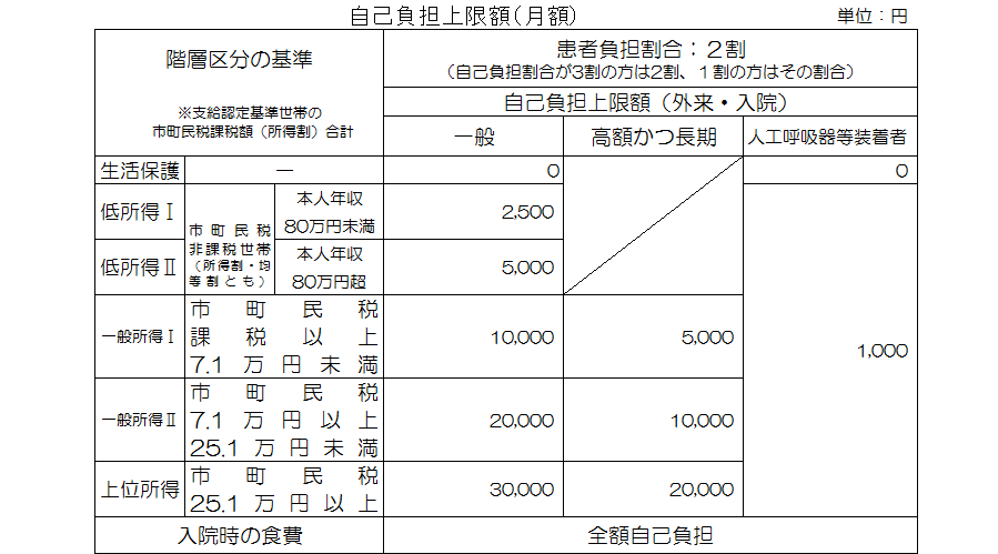 自己負担上限額