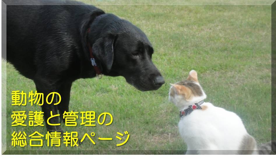 動物の愛護と管理の総合情報ページの画像