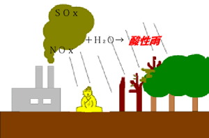 酸性雨模式図