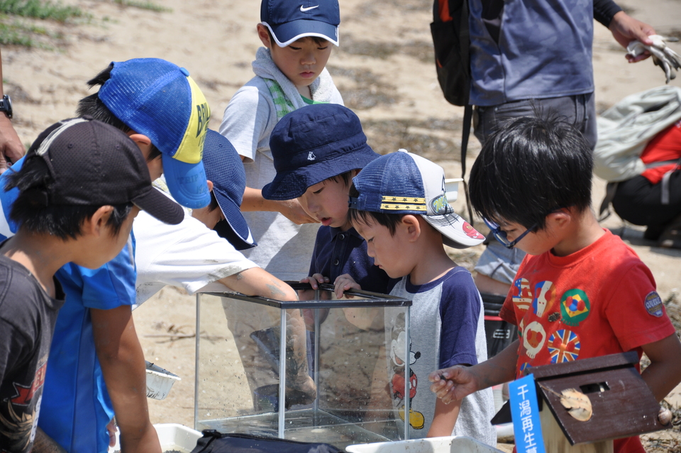 生き物観察会の画像