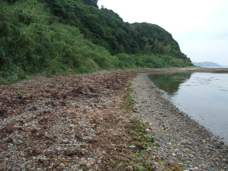 垢田海岸の画像3