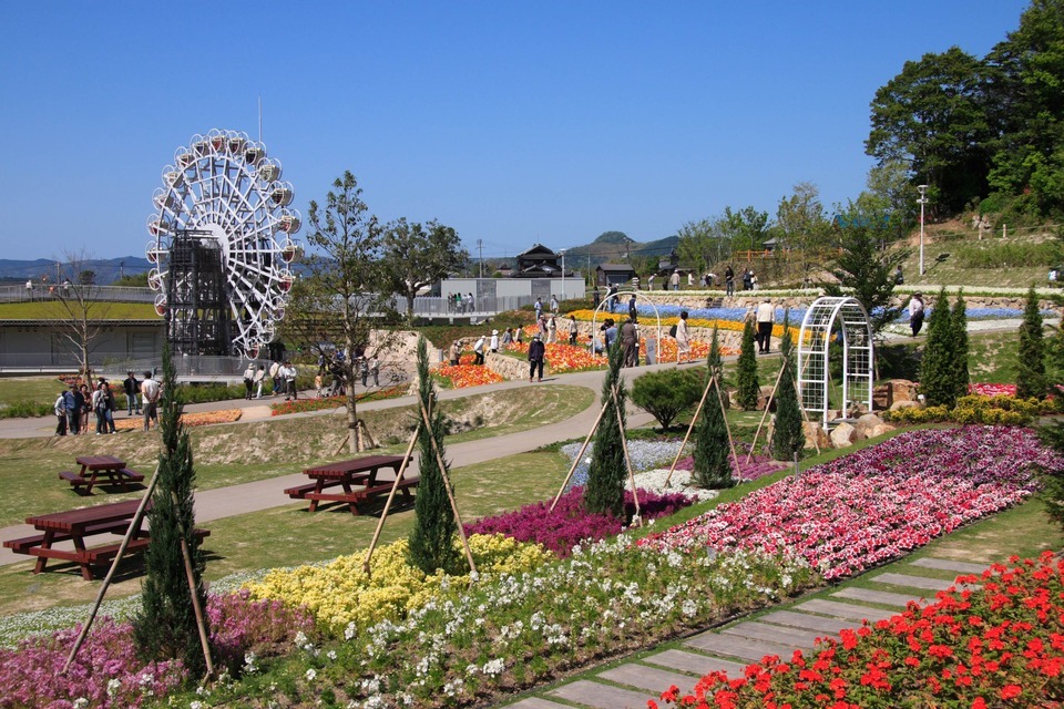 Flower Land