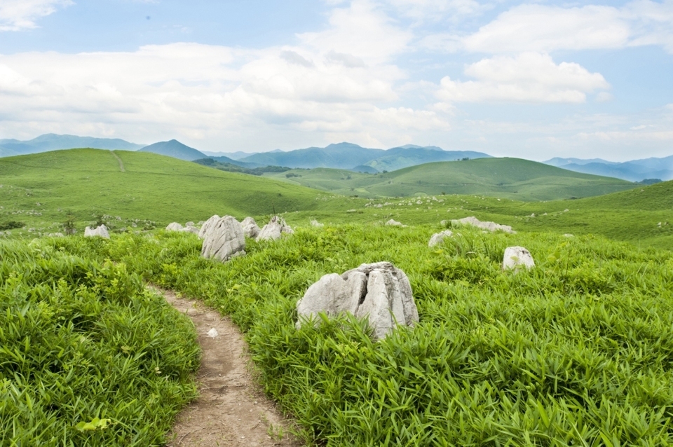 Akiyoshidai Plateau