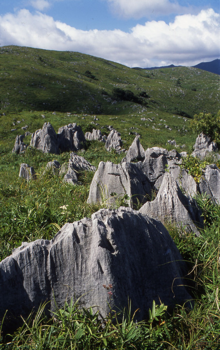 Akiyoshidai Plateau2