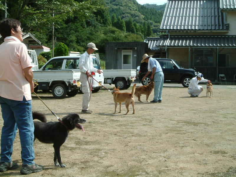 モンキードックの訓練状況