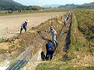 地域共同活動の画像