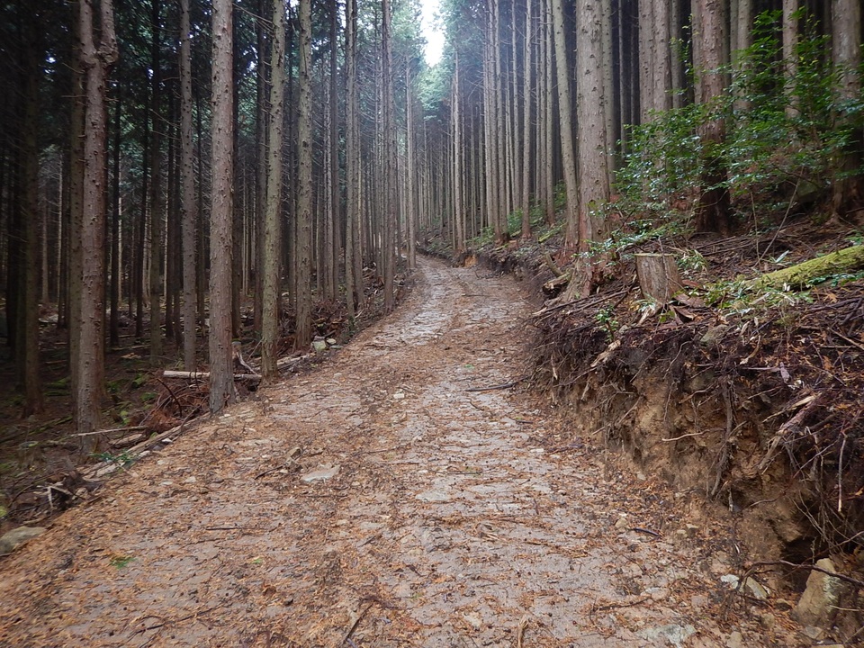 路網の整備の画像