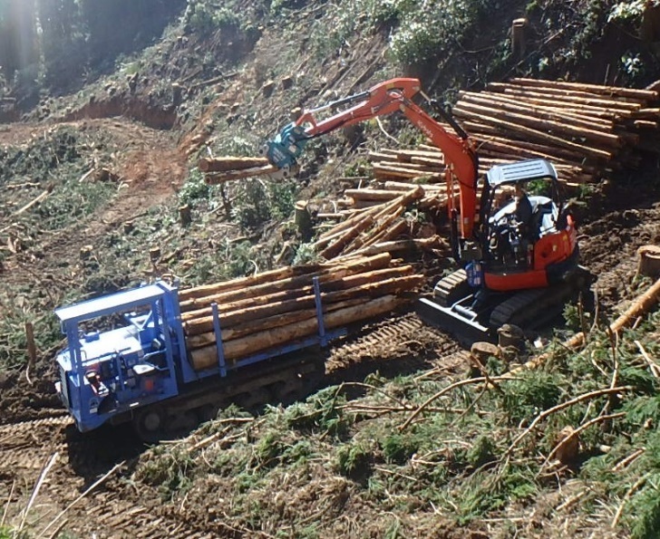 主伐-再造林一貫作業（森林部）