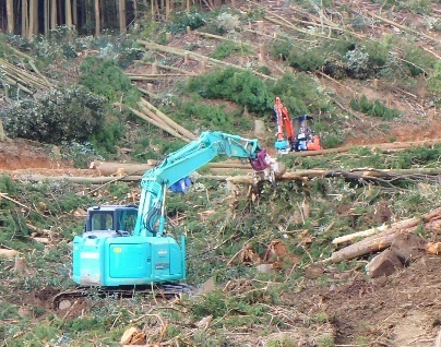 高性能林業機械を使用した主伐－再造林一貫作業の画像