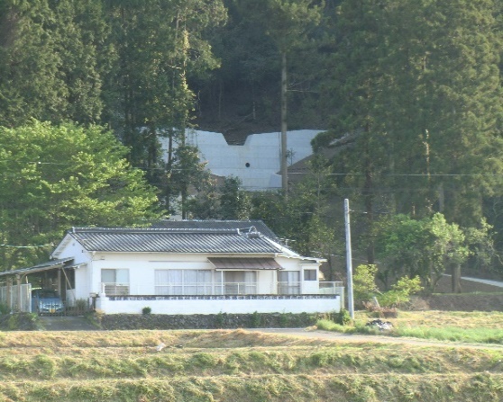 山地災害から県民を守る治山ダムの整備の画像