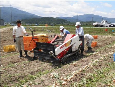 たまねぎ収穫機械