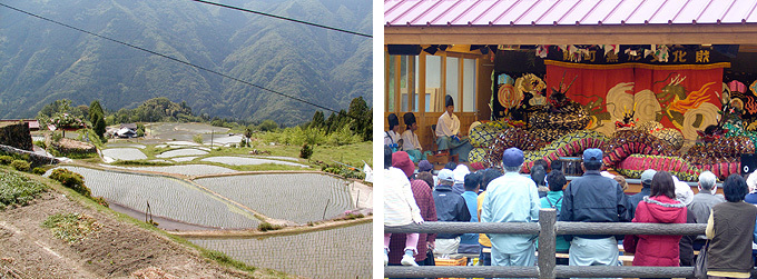 岩国市錦町上沼田地区の棚田の画像