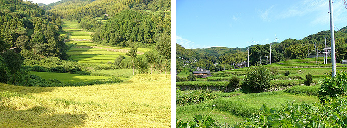 平生町日向平地区の棚田の画像