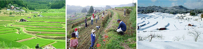 周南市中須北地区の棚田の画像