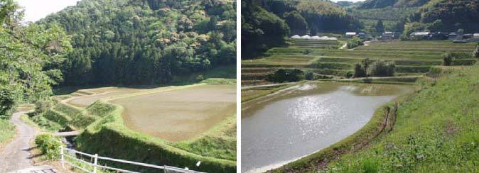 吉敷畑地区の棚田の画像