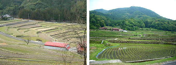 久兼上地区の棚田の画像