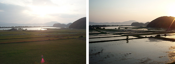 青海地区の棚田の画像