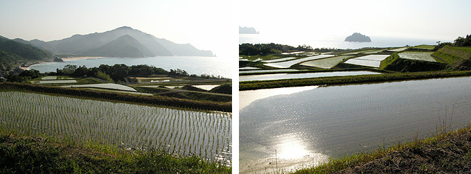 木与地区の棚田の画像